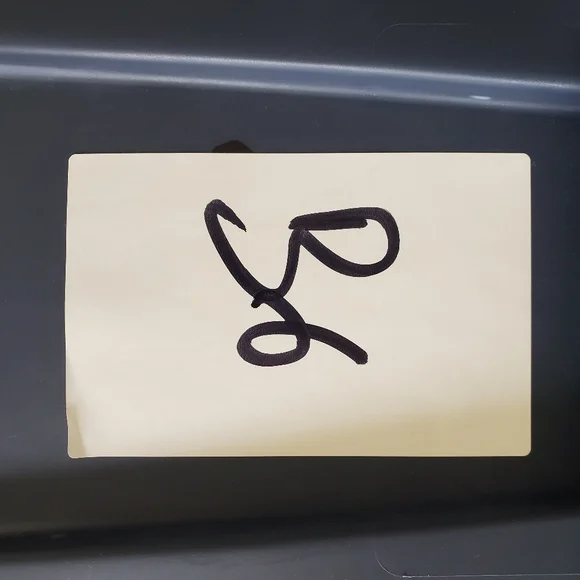 Vintage Big Bang Theory The Root 1991 Single Stitch Band Tour Mens Tee XL - Picture 11 of 11